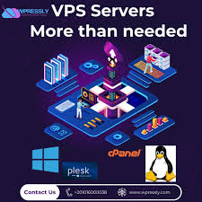 WPressly secure server hosting solutions